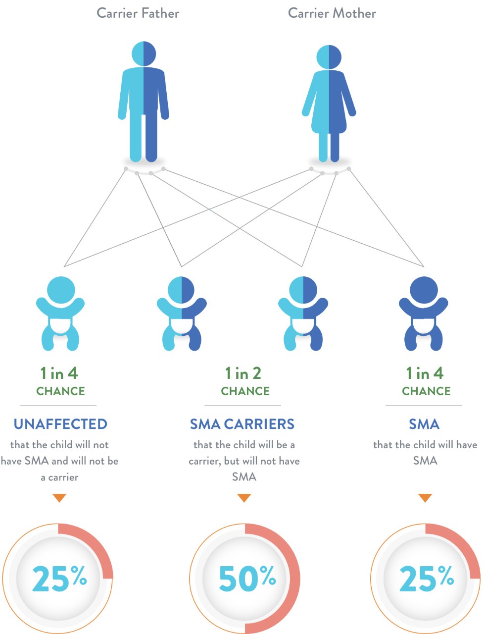 How is SMA inherited - scheme