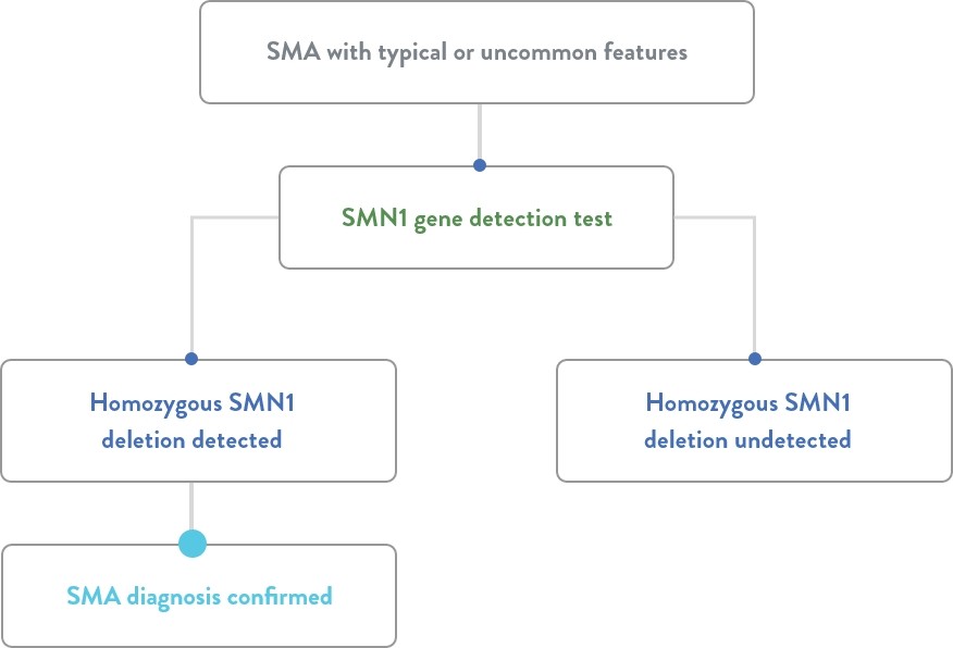 SMA with typical or uncommon features scheme